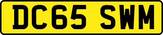 DC65SWM