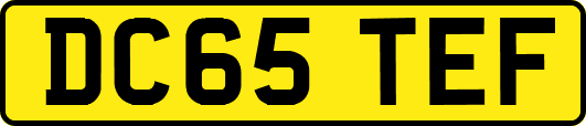 DC65TEF