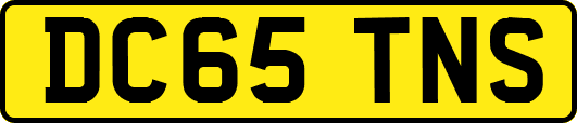 DC65TNS