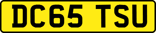 DC65TSU