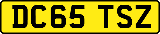 DC65TSZ