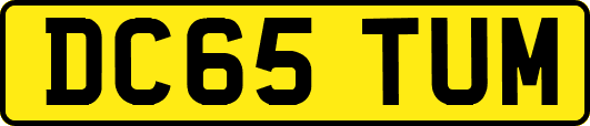 DC65TUM