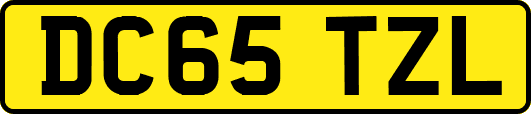 DC65TZL