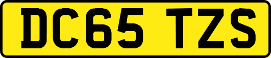 DC65TZS