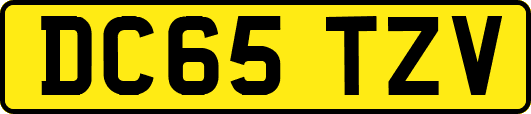 DC65TZV