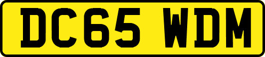 DC65WDM
