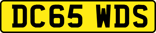 DC65WDS