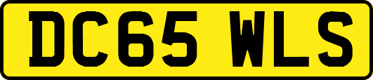 DC65WLS