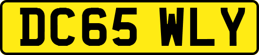 DC65WLY
