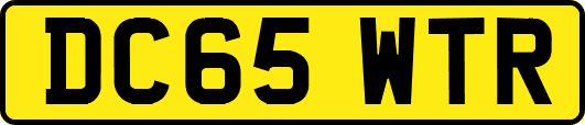 DC65WTR