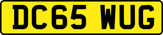 DC65WUG