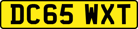 DC65WXT