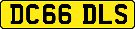 DC66DLS