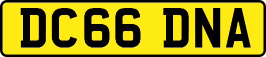 DC66DNA