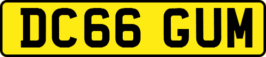 DC66GUM