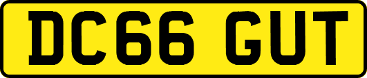 DC66GUT
