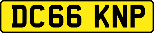 DC66KNP