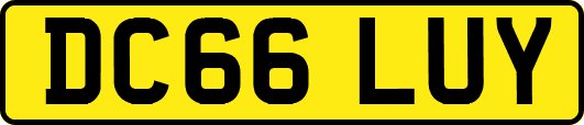 DC66LUY