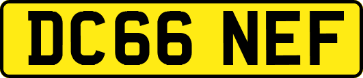 DC66NEF