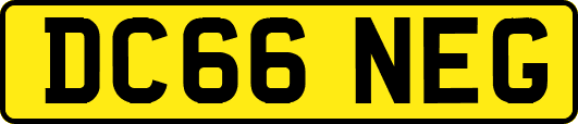 DC66NEG