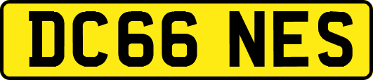 DC66NES