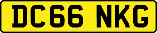 DC66NKG