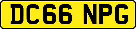 DC66NPG