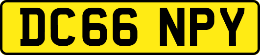 DC66NPY