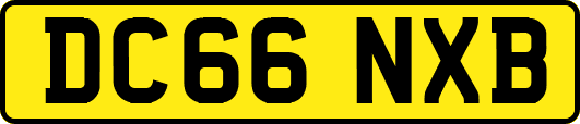 DC66NXB