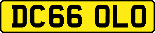DC66OLO