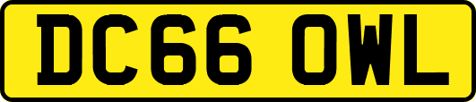 DC66OWL