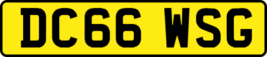 DC66WSG