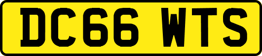 DC66WTS