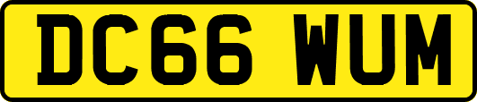 DC66WUM