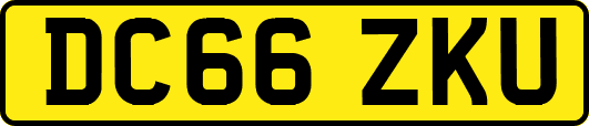 DC66ZKU