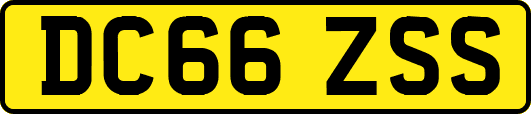 DC66ZSS