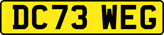 DC73WEG