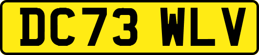 DC73WLV