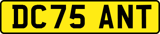DC75ANT