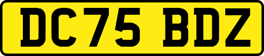 DC75BDZ