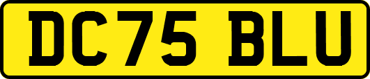 DC75BLU