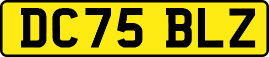 DC75BLZ