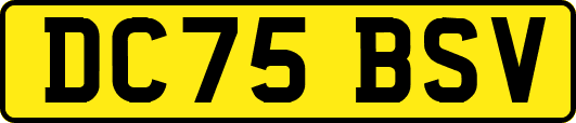 DC75BSV