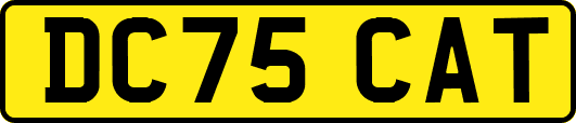 DC75CAT
