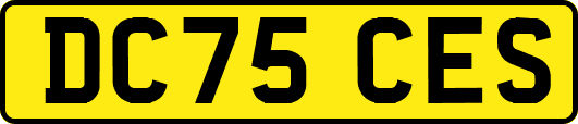 DC75CES