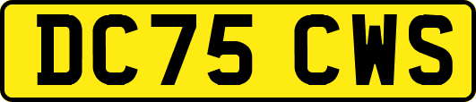 DC75CWS