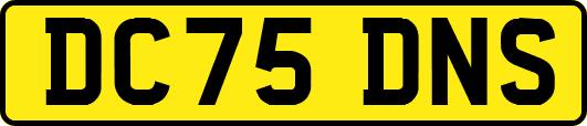 DC75DNS