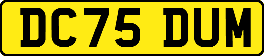 DC75DUM
