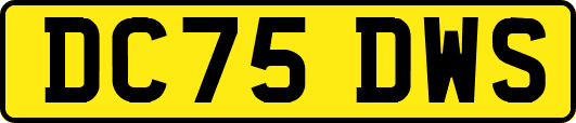 DC75DWS