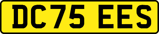 DC75EES